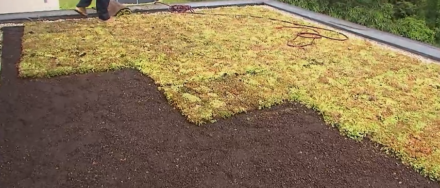 Groendak op mijn EPDM?